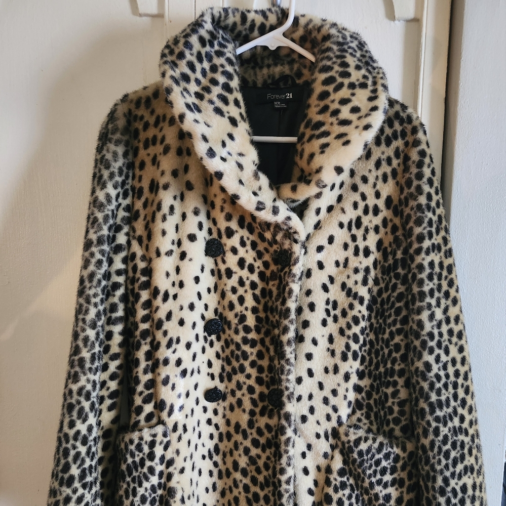 Winter Coat